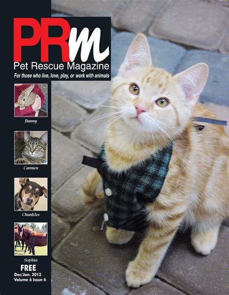 Pet Rescue Magazine Decjan 13 By Virginia Marando Issuu