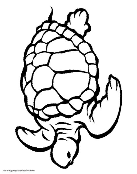 Turtle. Sea animals colouring pages || COLORING-PAGES ...