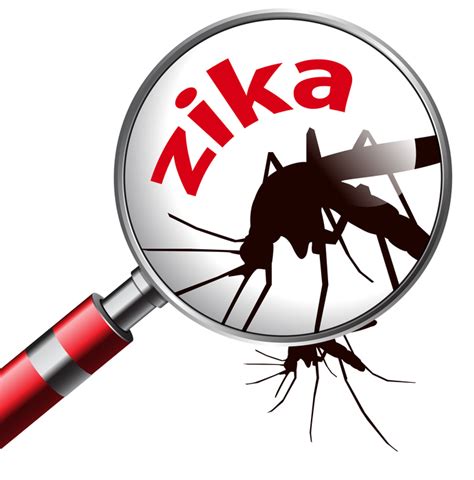 Zika Virus Symptoms What You Need To Know University Health News
