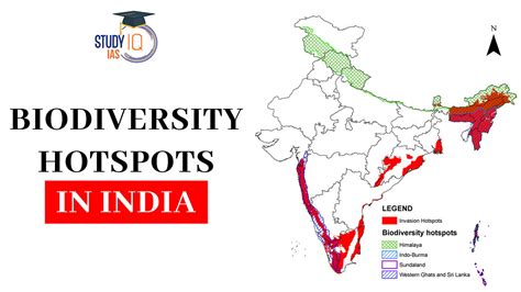 Biodiversity Hotspots In India And Threats To Hotspot In India