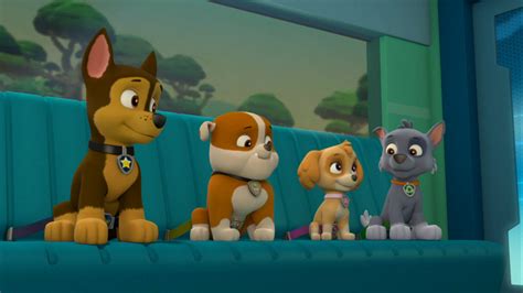 chase gallery pups save the maze explorers paw patrol wiki fandom