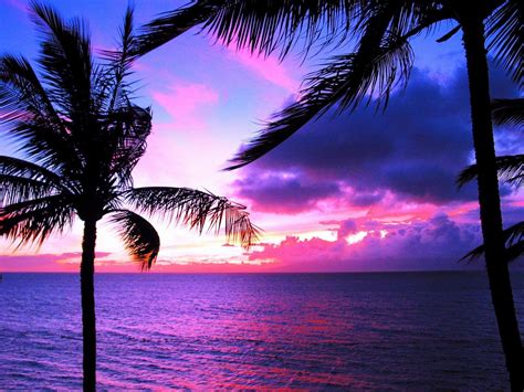 Hawaiian Sunset Background