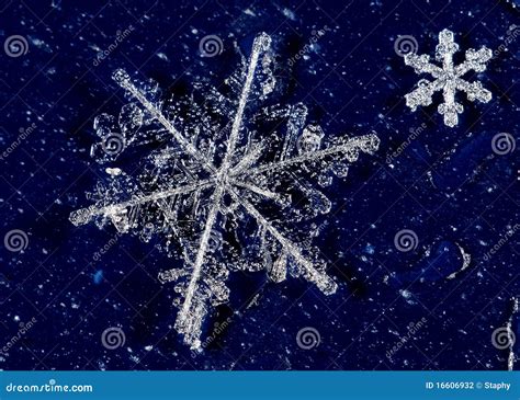 Snow Crystals Stock Photo Image Of Pure Cold Macro 16606932