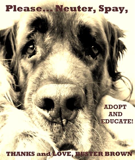 Homeward trails is a humane organization that puts animals first. Just DO it, already!!!!!!!!!!!!! Sponsor, Foster, Adopt ...