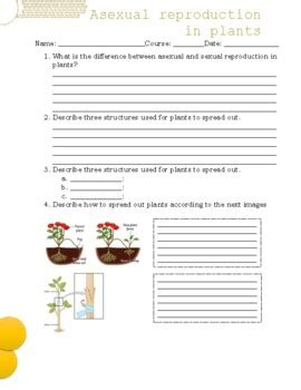 Asexual Reproduction In Plants Worksheet Quiz By The Science Portal