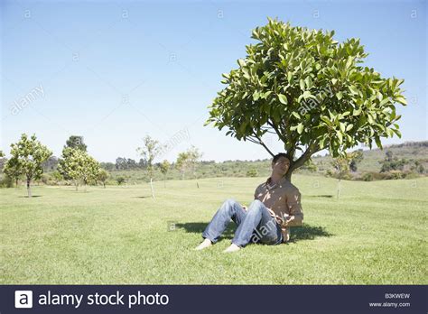 Man Sitting In Shade Under Tree Stock Photo Royalty Free Image