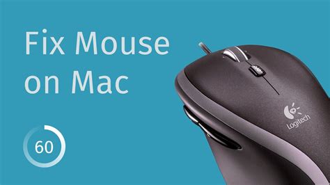 How To Customize Mouse Buttons Mac Bettatravel