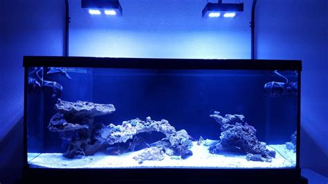 80 lbs of reef saver rock was used Show me your 75 gallon aquascapes | Reef aquascaping ...