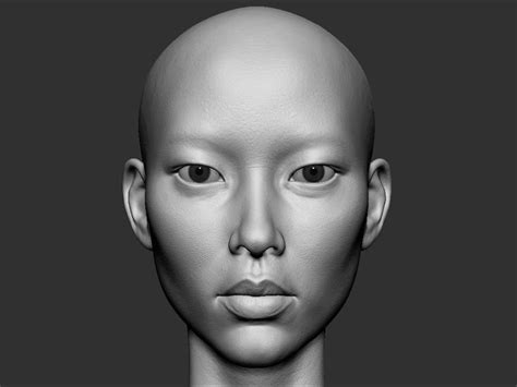 Realistic Female Asian Head 3d Model Obj Ztl Mtl 1 Concept Art