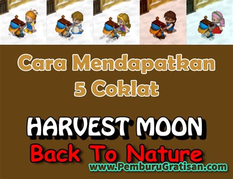 Cara mendapatkan kuda di harvest moon back to nature. Cara Mendapatkan 5 Coklat Di Harvest Moon Back To Nature