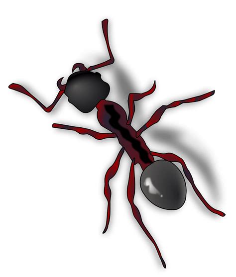 Ant Clipart Free Download Transparent Png Creazilla