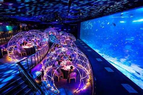 8 Awesome Things To Do At Sea Aquarium On Your Visit Kkday Blog