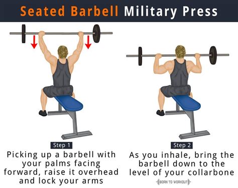 If you follow the shoulder workout routine in this article. Barbell Military Press: What is it, How to do, Muscles ...