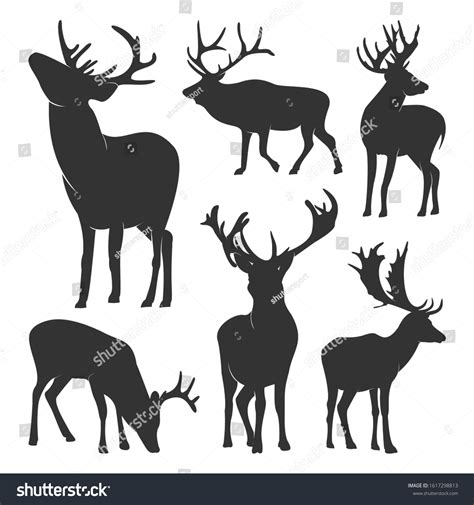 Collection Silhouette Deers Vector Logo Wildlife Stock Vector Royalty
