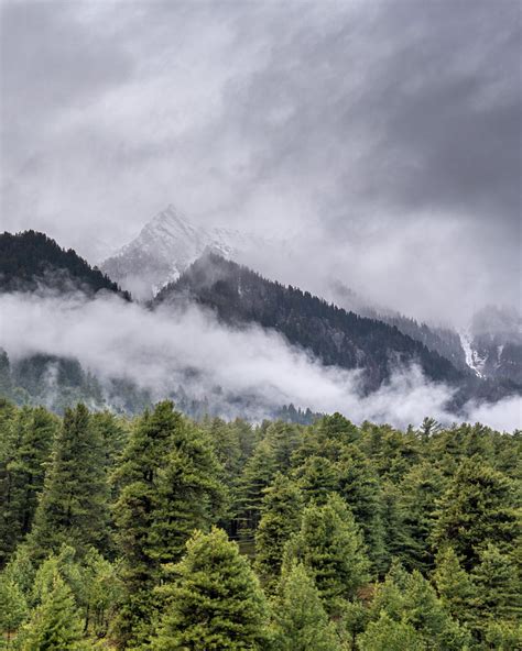 Green Trees Near Mountain Under White Clouds · Free Stock Photo