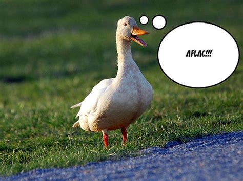 Aflac is widely known for its zany commercials especially those with a duck that quacks the company's name. aflac duck | iamsteveu2 | Flickr