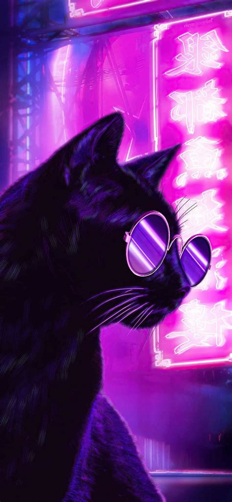 Download Cat With Glasses Neon Purple Iphone Wallpaper