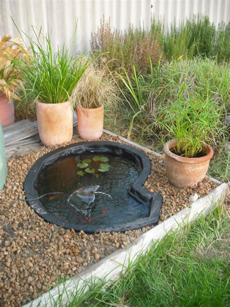 A Complete Guide To Makes Small Backyard Fish Pond