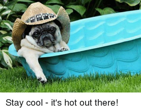 Stay Cool Its Hot Out There Meme On Meme