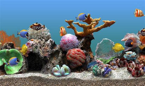 Marine Aquarium Wallpaper Wallpapersafari