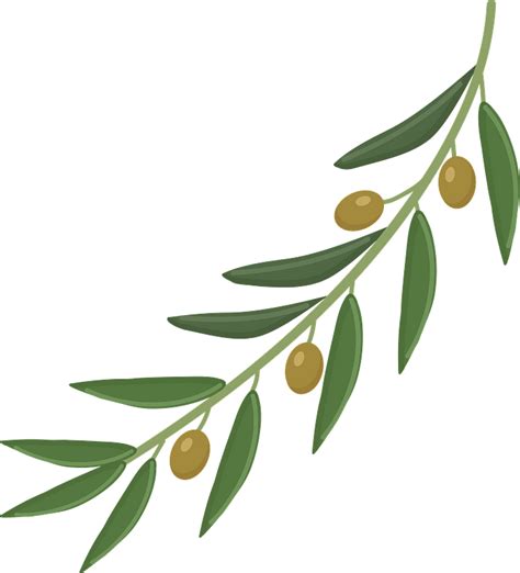 Olive Tree Clipart