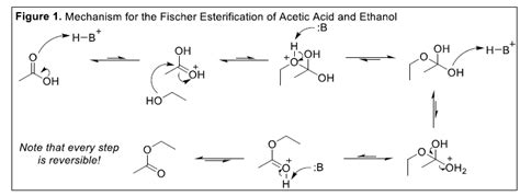 Solved Figure 1 Mechanism For The Fischer Esterification Of