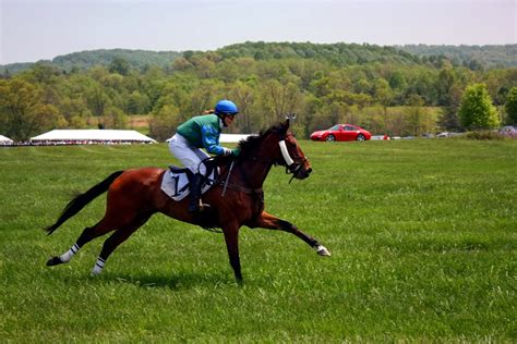 The iroquois steeplechase is the premier spring event in nashville and is packed with entertaining and exciting the iroquois steeplechase has decided to move the 2021 race date from may 8 to june 26. East of the Blue Ridge: Northern Virginia Steeplechase ...