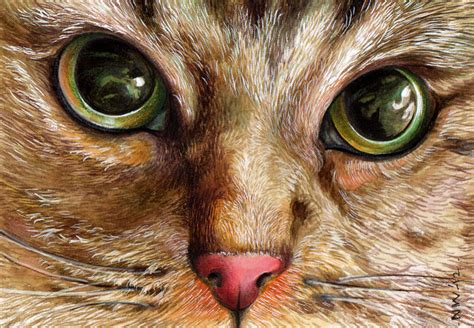 Cats Eye Painting By Naushad Waheed Pixels