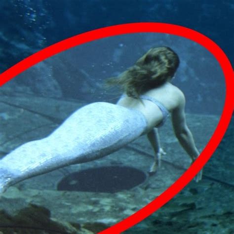 Mermaids appear in the folklore of many cultures worldwide, including europe, asia, and africa. 10 Latest A Picture Of A Real Mermaid FULL HD 1080p For PC Background 2020