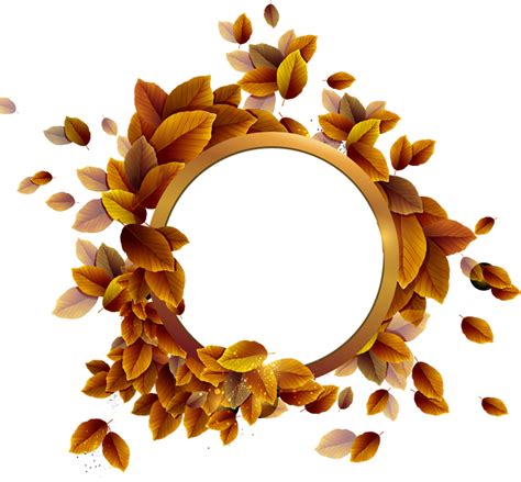 Floral Round Frame Png Png All Png All