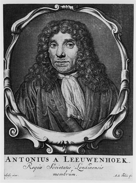 Anton Van Leeuwenhoek Microscope Pioneer