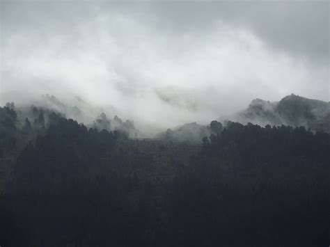 Silhouette Of Mountain Covered By Fogs Hd Wallpaper Peakpx