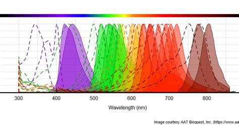 Aat Bioquest The Spectra Of Alexa Fluor Dyes