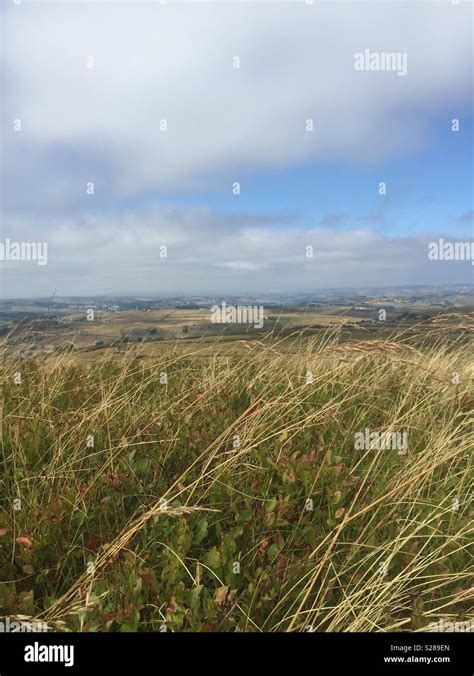 View Through Long Grass Stock Photo Alamy