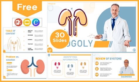 Urology Template Powerpoint Templates And Google Slides