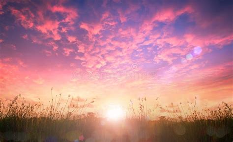 Beautiful Meadow With Sky And Clouds Autumn Sunrise Stock Photo Image