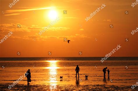 People On Beach Low Tide On Editorial Stock Photo Stock Image