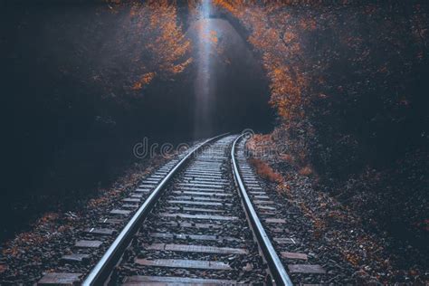 Railroad Tracks In The Fall Stock Photo Image Of Bright Landscape