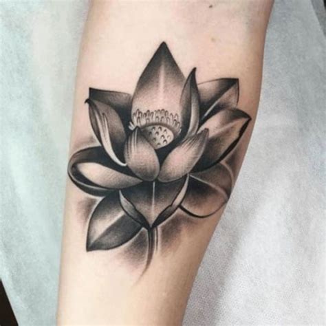 Ý Nghĩa Hình Xăm Hoa Sen Là Gì Tattoo Bông Sen đẹp Nhất