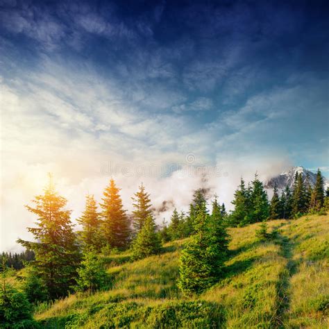 Beautiful Summer Mountain Landscape Dramatic Scene Carpathian Stock