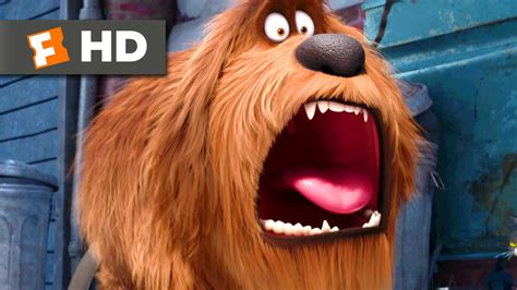 The Secret Life Of Pets Trailer 1 Trailers And Videos Rotten Tomatoes