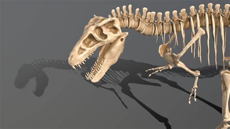 T Rex Skeleton 3d Model By Change Lab Changelab B637ef2 Sketchfab