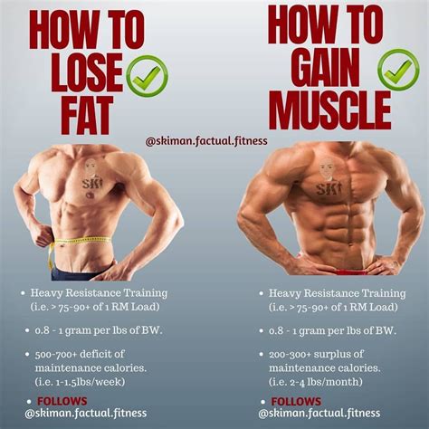 How Many Calories To Eat To Lose Fat But Keep Muscle Whmuc