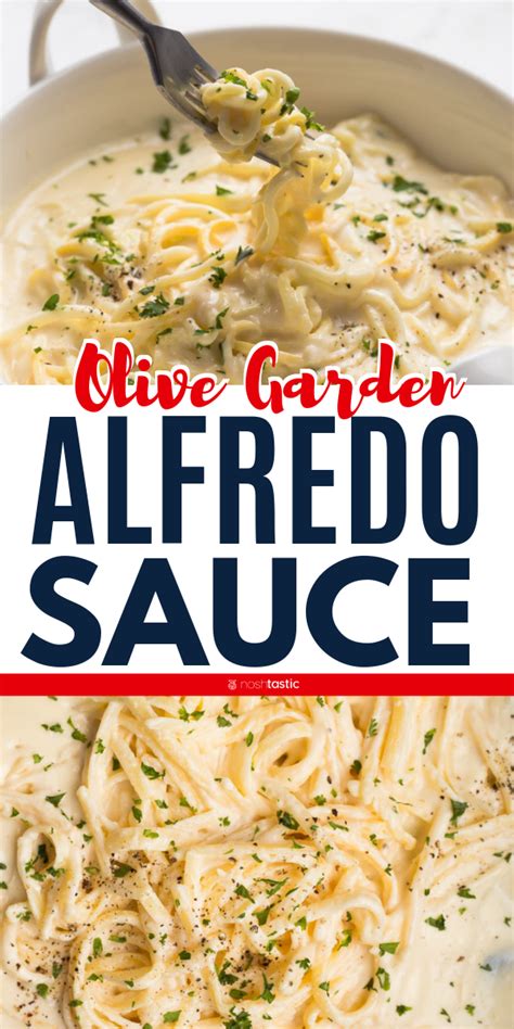 Then make sure to grab some olive garden promo codes or coupons and save. Olive Garden Alfredo Sauce in 2020 | Pasta dishes, Alfredo ...