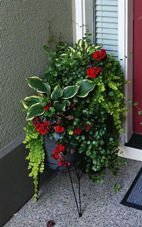 Container Gardening Flowers Garden Containers Container Plants