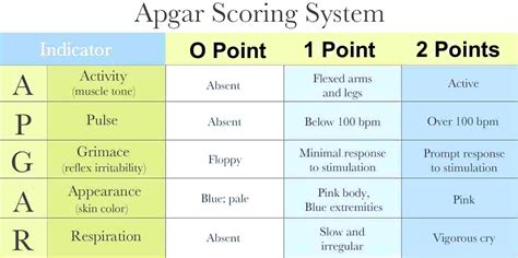 Printable Apgar Score Chart