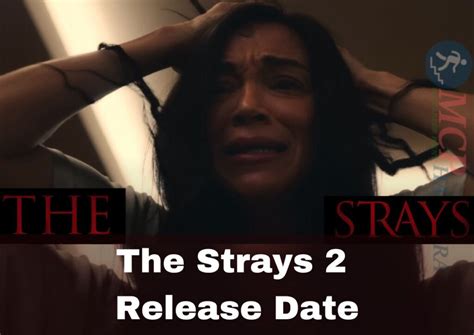 The Strays 2 Release Date 2024 Movie Ending Review Cast List