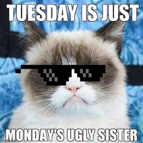 Image Tagged In Tuesday Imgflip