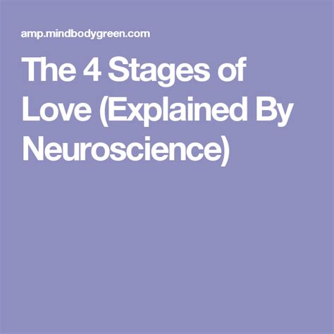 The 4 Stages Of Love Explained By Neuroscience Stages Of Love