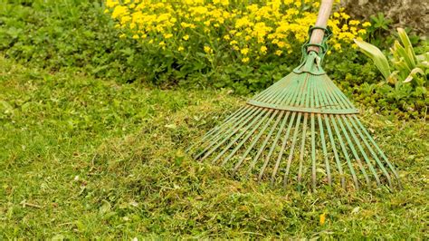 Cleaning Up Your Lawn For Spring Lawnovations